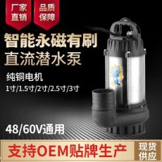 直流無(wú)刷潛水泵48V60V電瓶車水泵農(nóng)用灌溉排澇水井抽水機(jī)